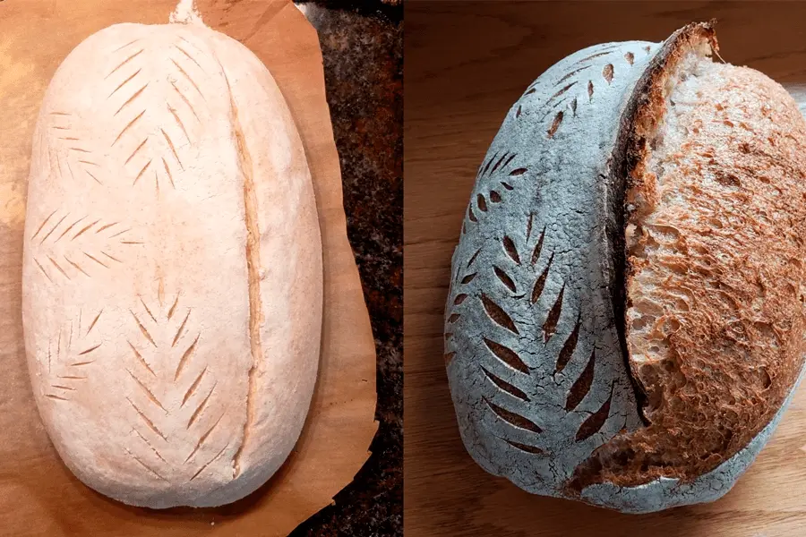 Muestra del scoring aplicado a una masa de pan y su resultado despues del horneado